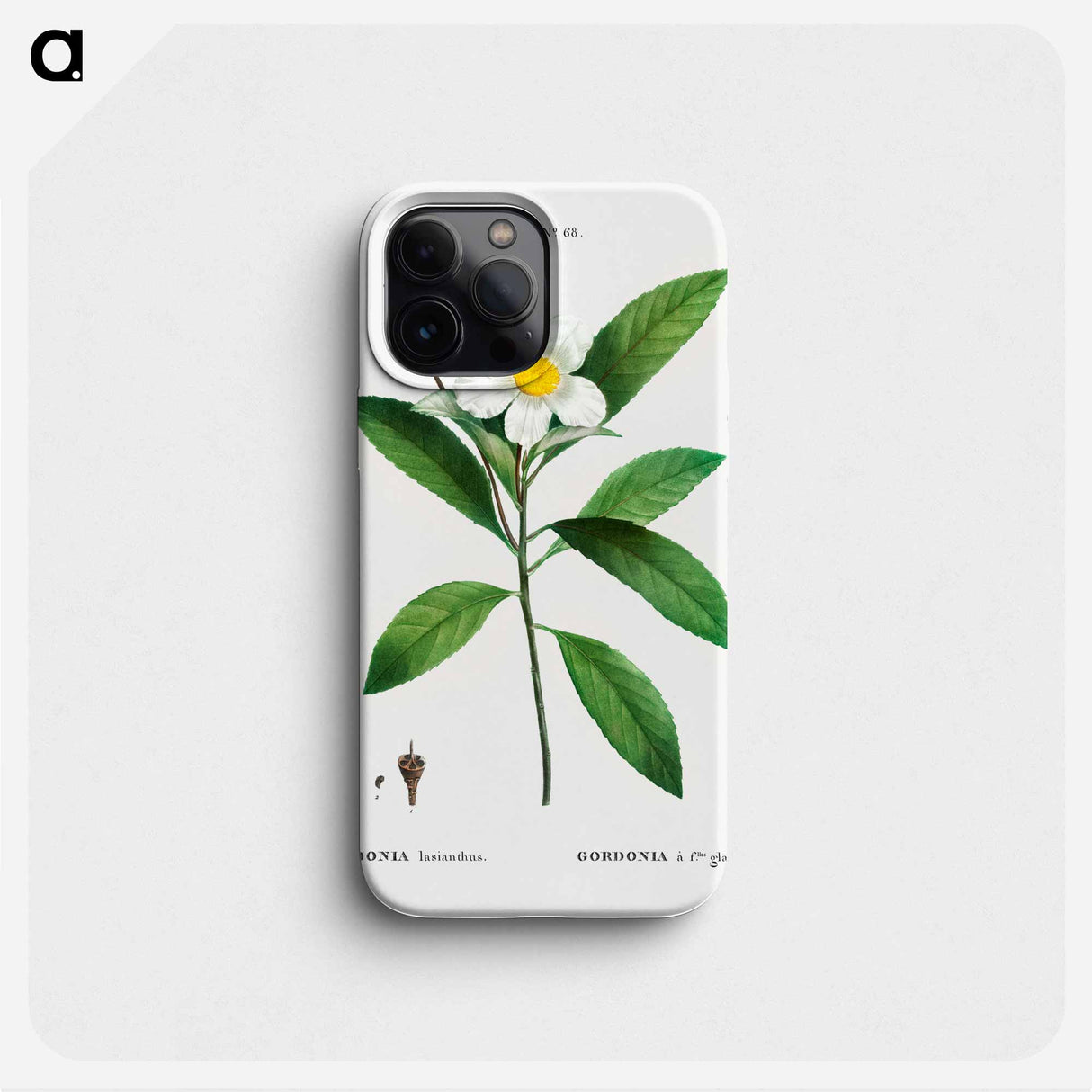 Loblolly bay - Pierre Joseph Redouté Phone Case.