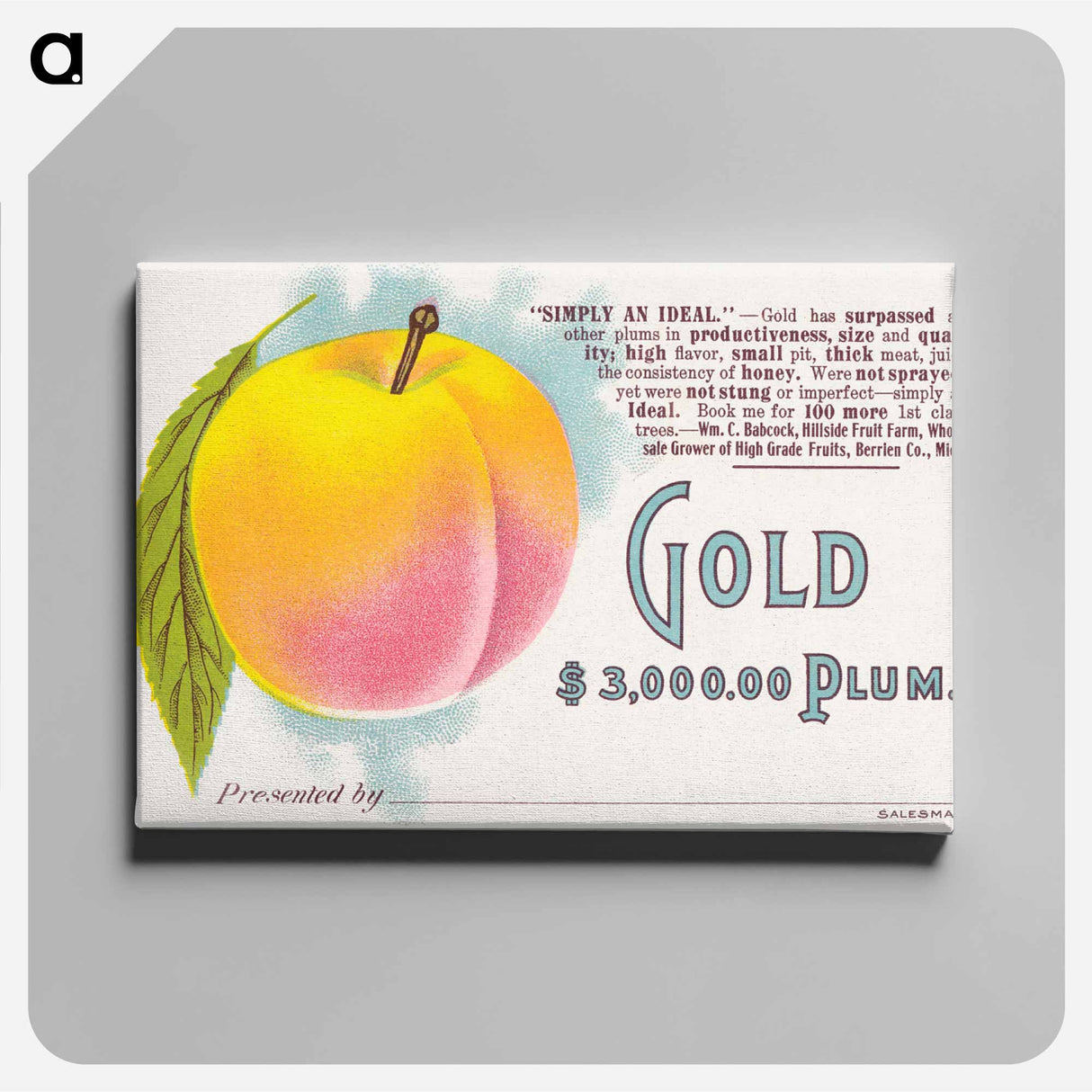 アートパネル-Gold Plum
- ボストン公共図書館 Canvas.