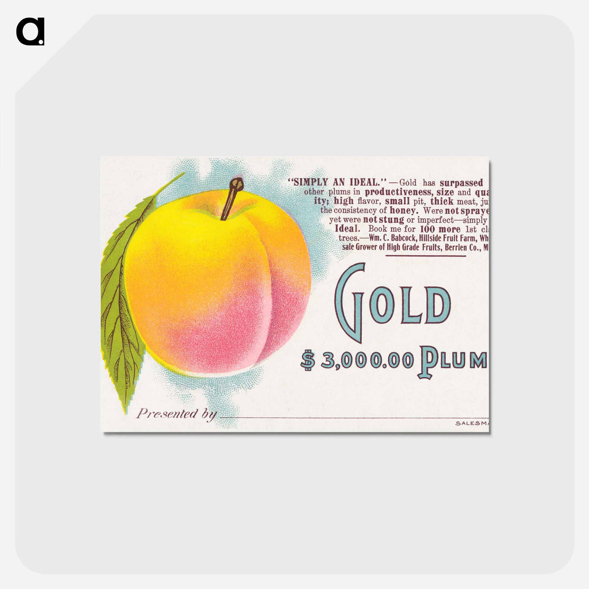 アートポストカード-Gold Plum
- ボストン公共図書館 Postcard.