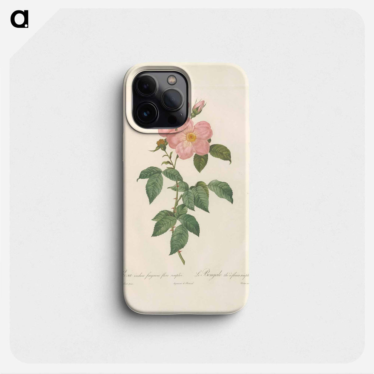 Rose illustration - Pierre Joseph Redouté Phone Case.