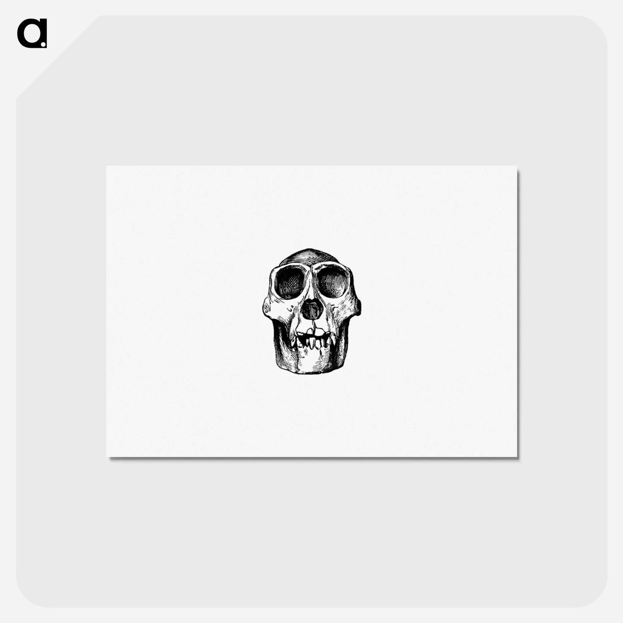 アートポストカード-Skull from Voyages and Adventures in Equatorial Africa
- 大英図書館 Postcard.