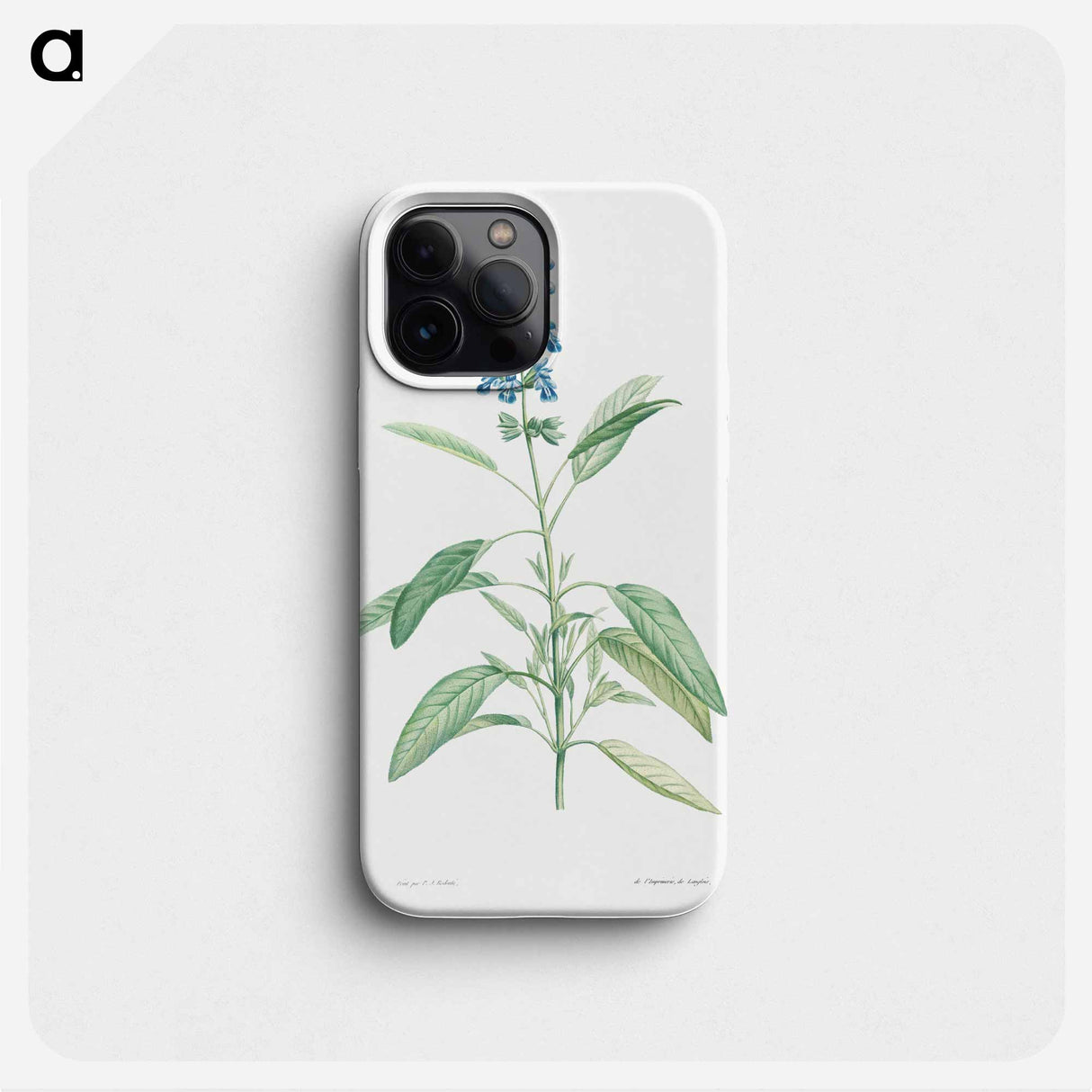 Sage - Pierre Joseph Redouté Phone Case.