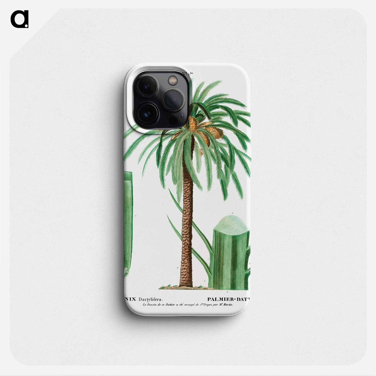 Date palm, Phoenix dactylifera - Pierre Joseph Redouté Phone Case.
