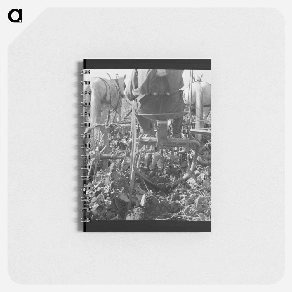Untitled photo - ドロテア ラング Memo.