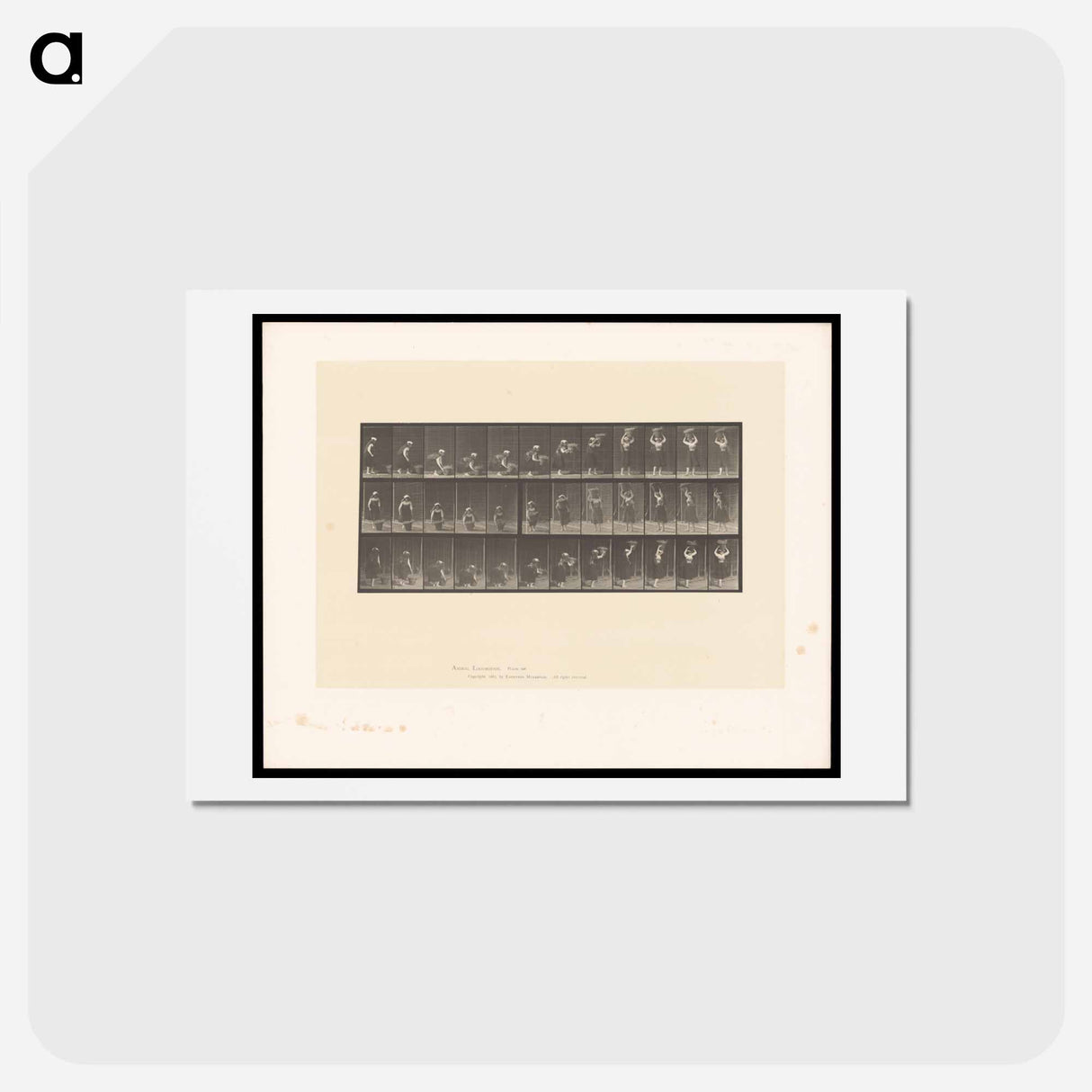 アートポストカード-Woman with Basket
- エドワード マイブリッジ Postcard.