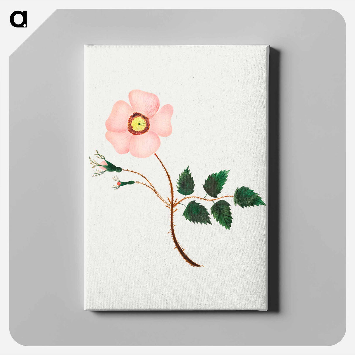 アートパネル-Wild Rose
- クリーブランド美術館 Canvas.