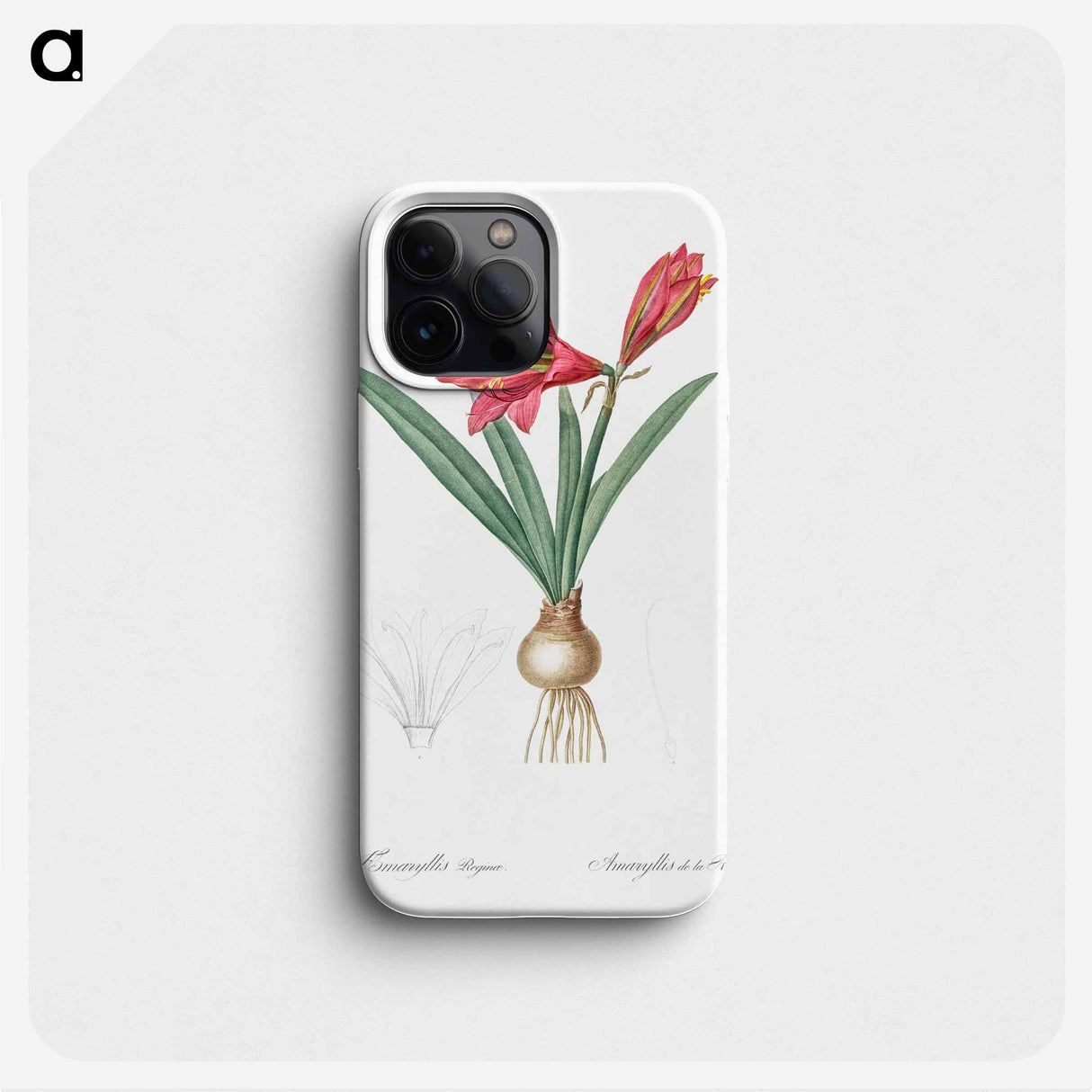 Hippeastrum - ピエール ジョゼフ ルドゥーテ Phone Case.