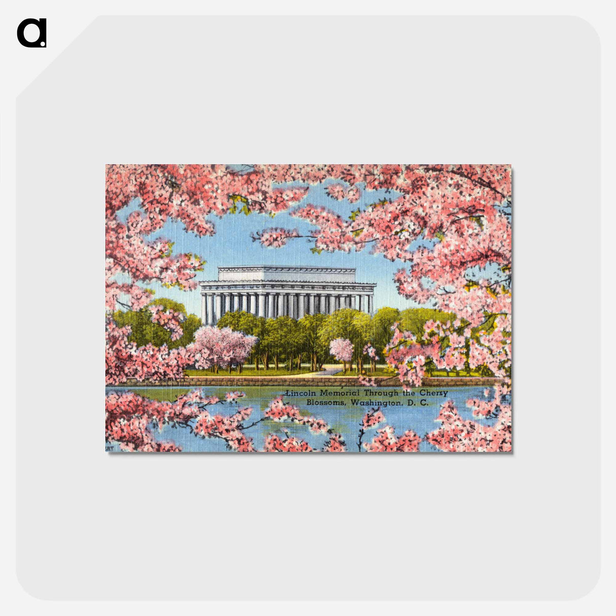 アートポストカード-Lincoln Memorial Cherry Blossoms
- ボストン公共図書館 Postcard.
