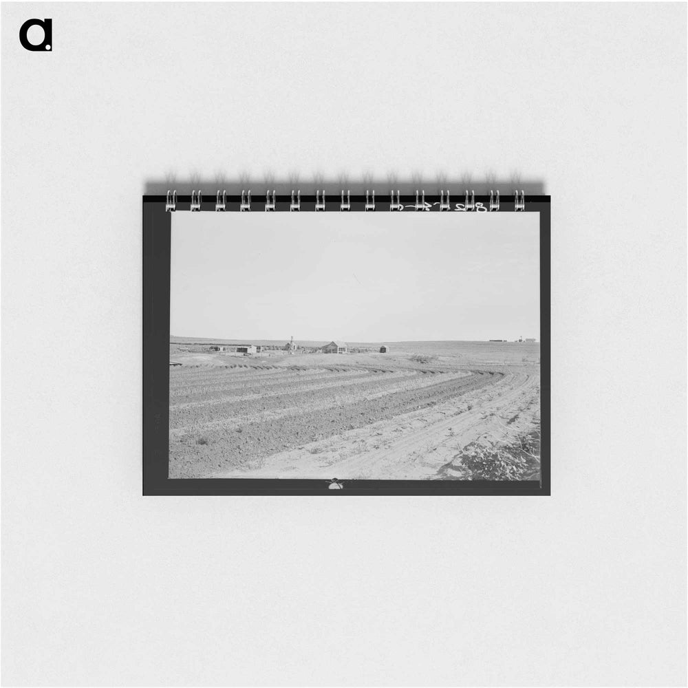 Untitled photo - ドロテア ラング Memo.