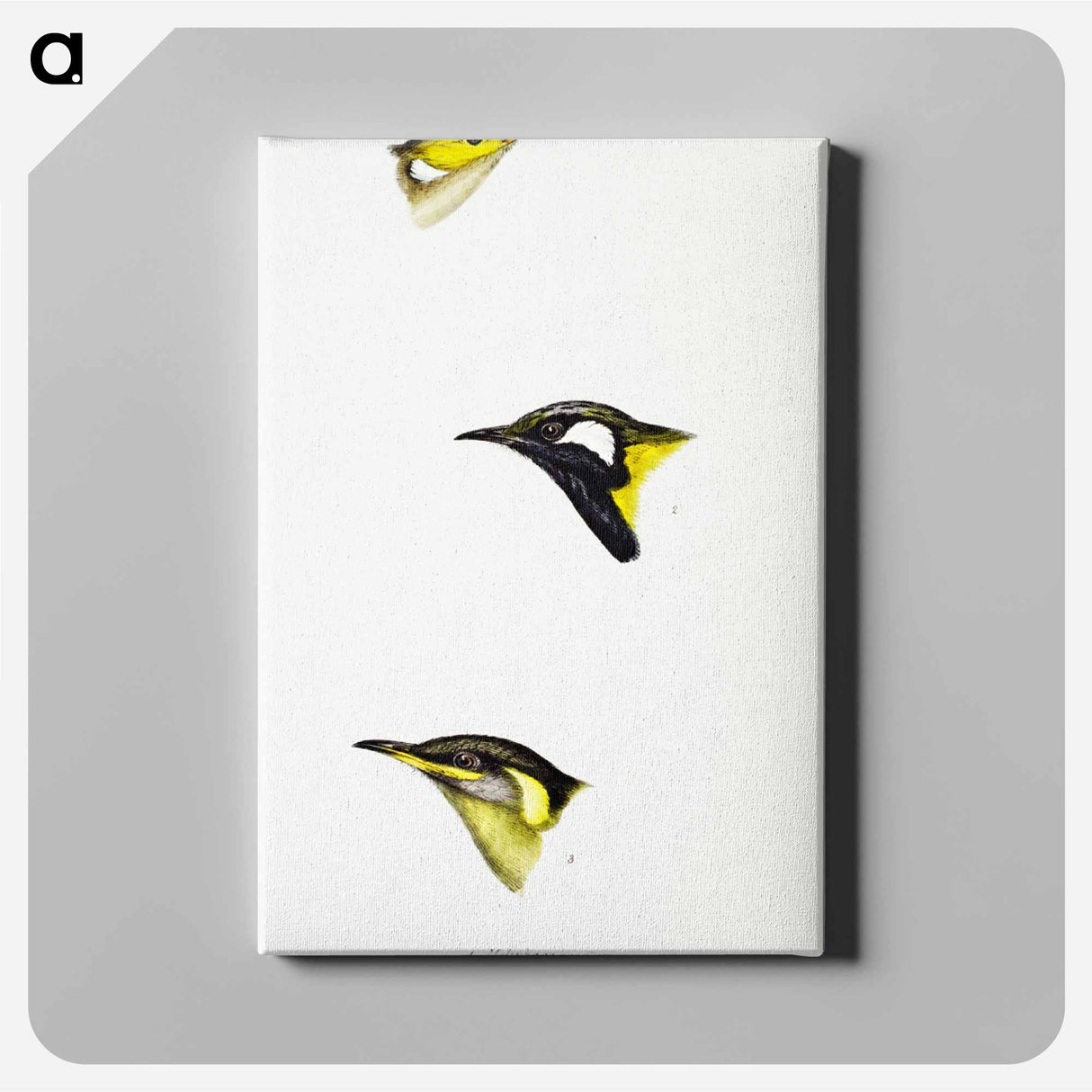 アートパネル-Australian Honeyeaters
- ジョン グールド Canvas.