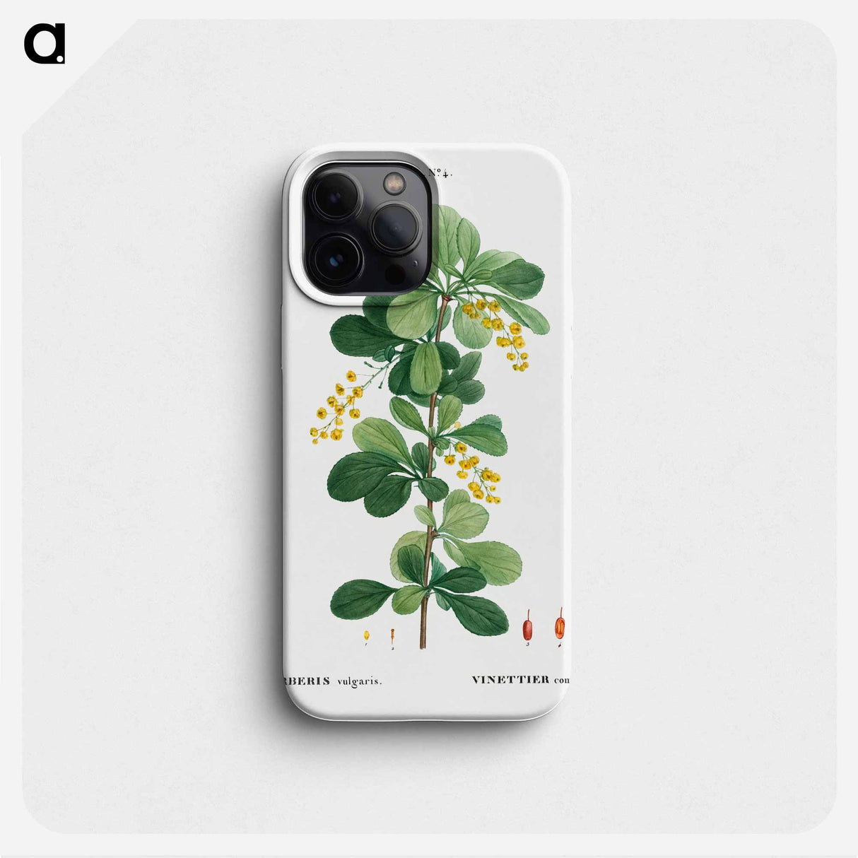 Common barberry, Berberis vulgaris - ピエール ジョゼフ ルドゥーテ Phone Case.