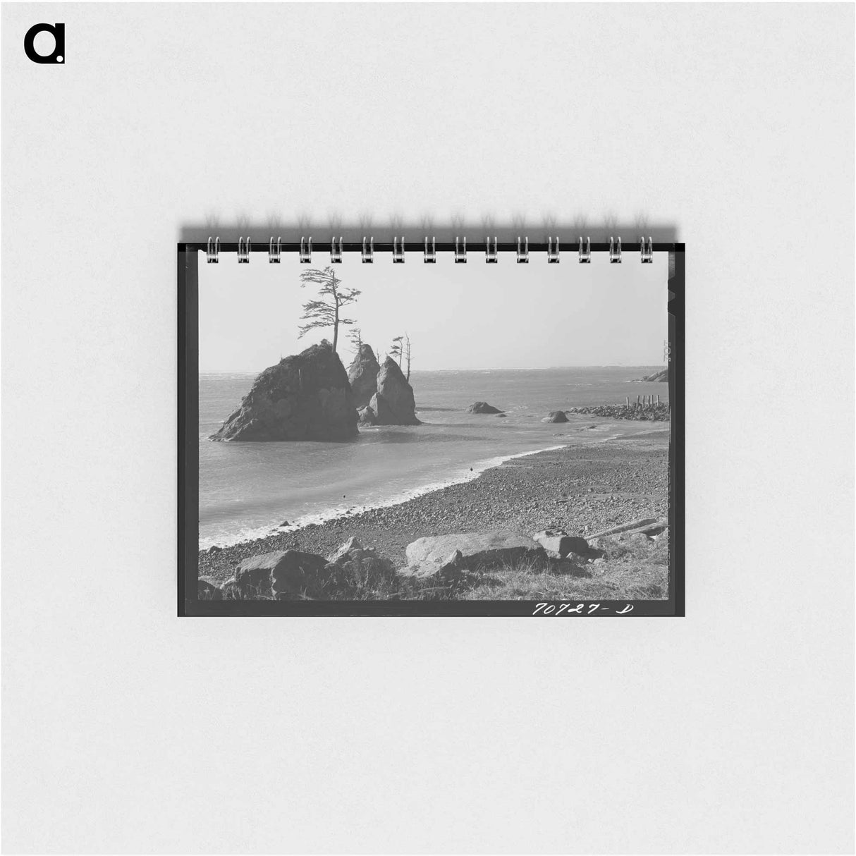 アートメモ帳-Goats on Ranch in Kimble County
- ラッセル リー Memo.