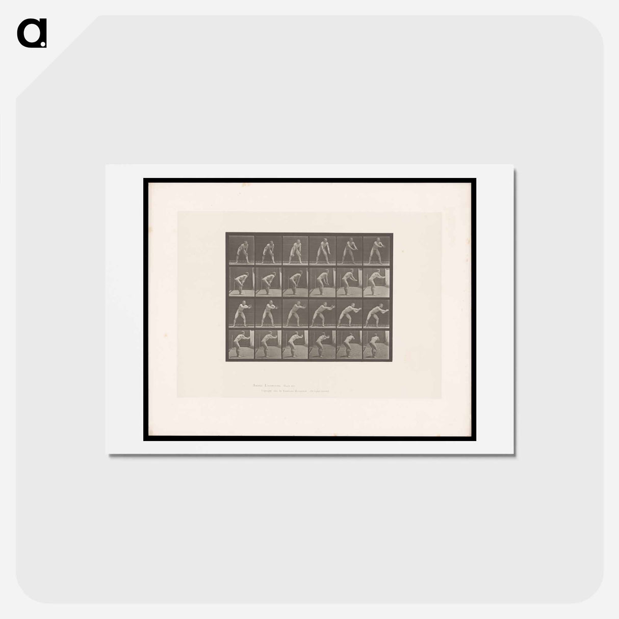 アートポストカード-Man Catching a Ball
- エドワード マイブリッジ Postcard.