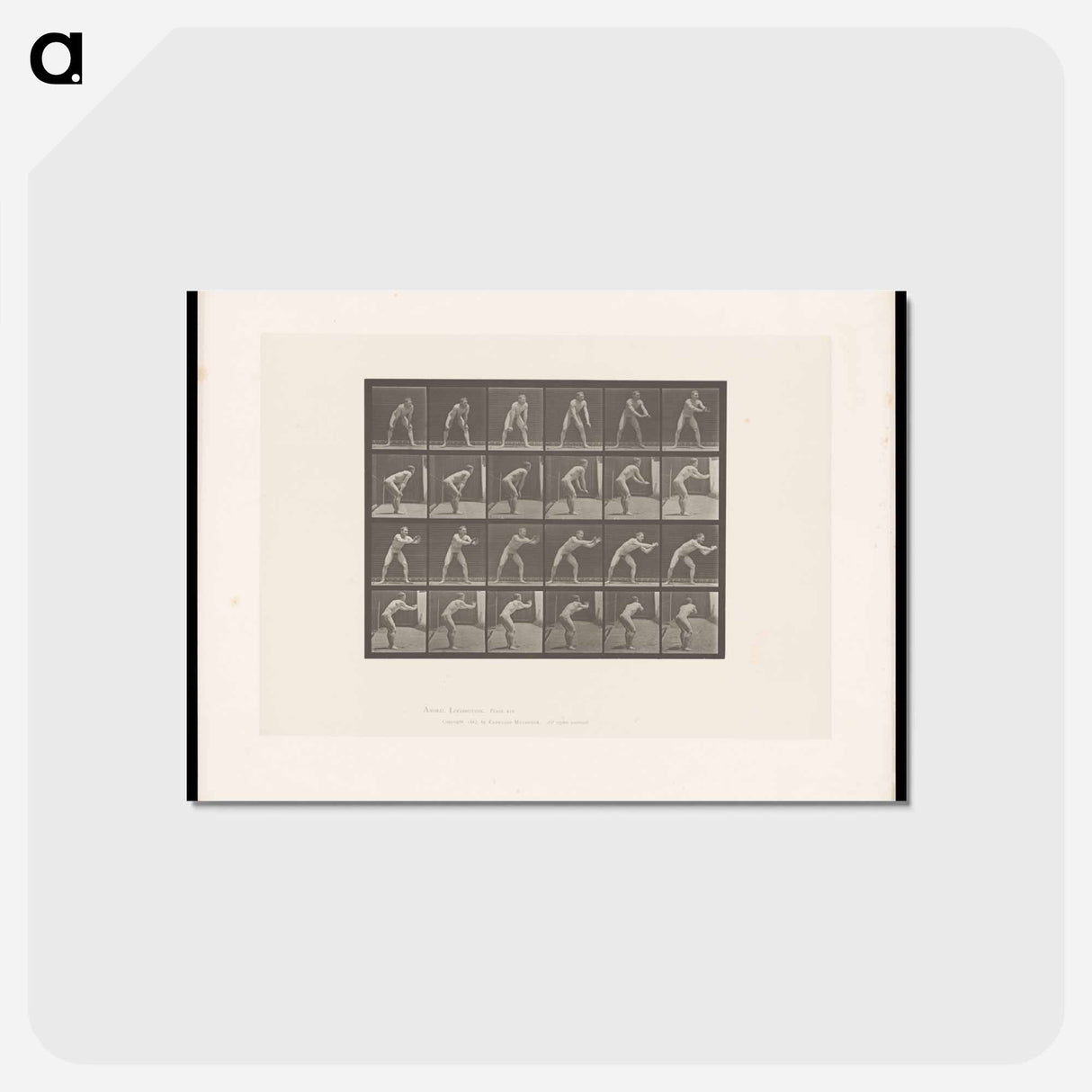 アートポストカード-Man Catching a Ball
- エドワード マイブリッジ Postcard.