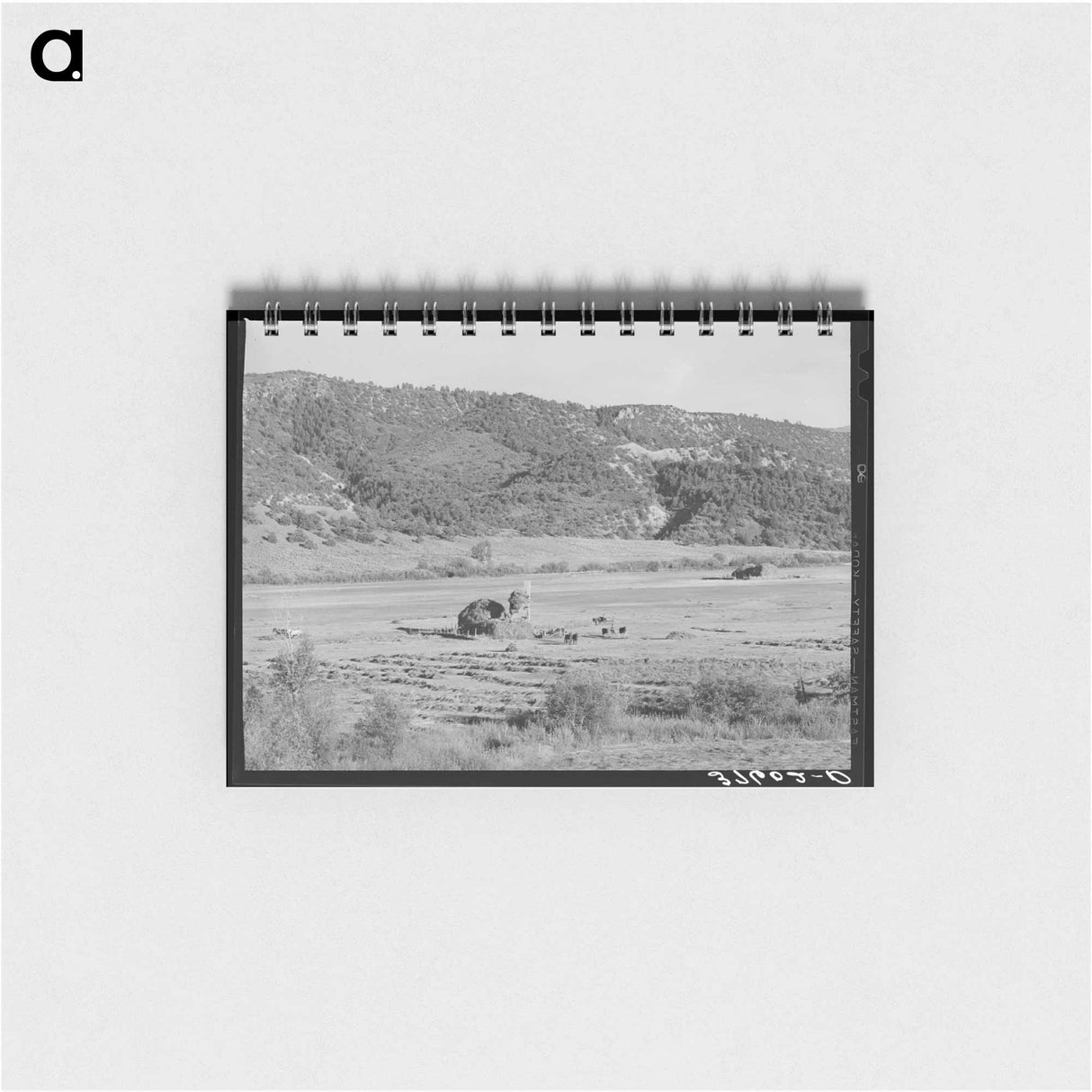 アートメモ帳-Putting Up Hay in a Mountain Valley, Ouray County
- ラッセル リー Memo.