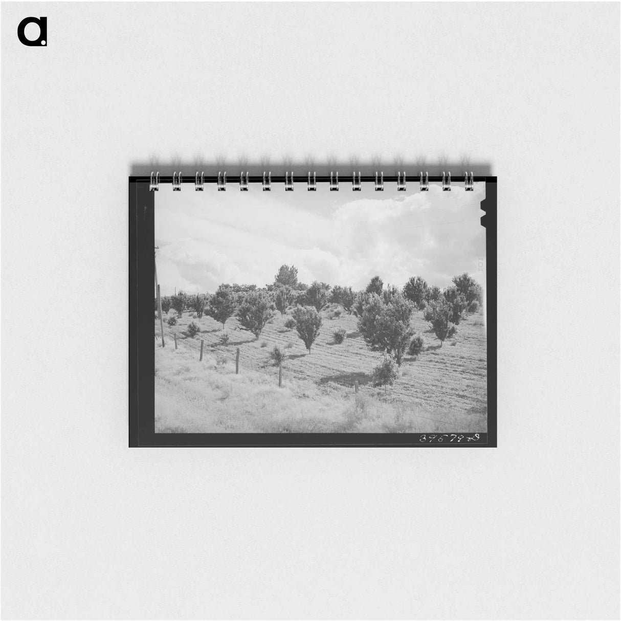 アートメモ帳-Orchard, Canyon County, Idaho
- ラッセル リー Memo.