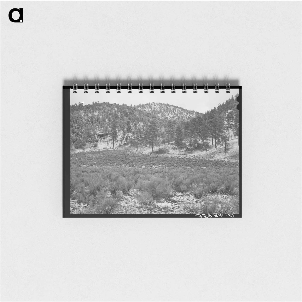 アートメモ帳-White House Canyon, Catron County, New Mexico
- ラッセル リー Memo.