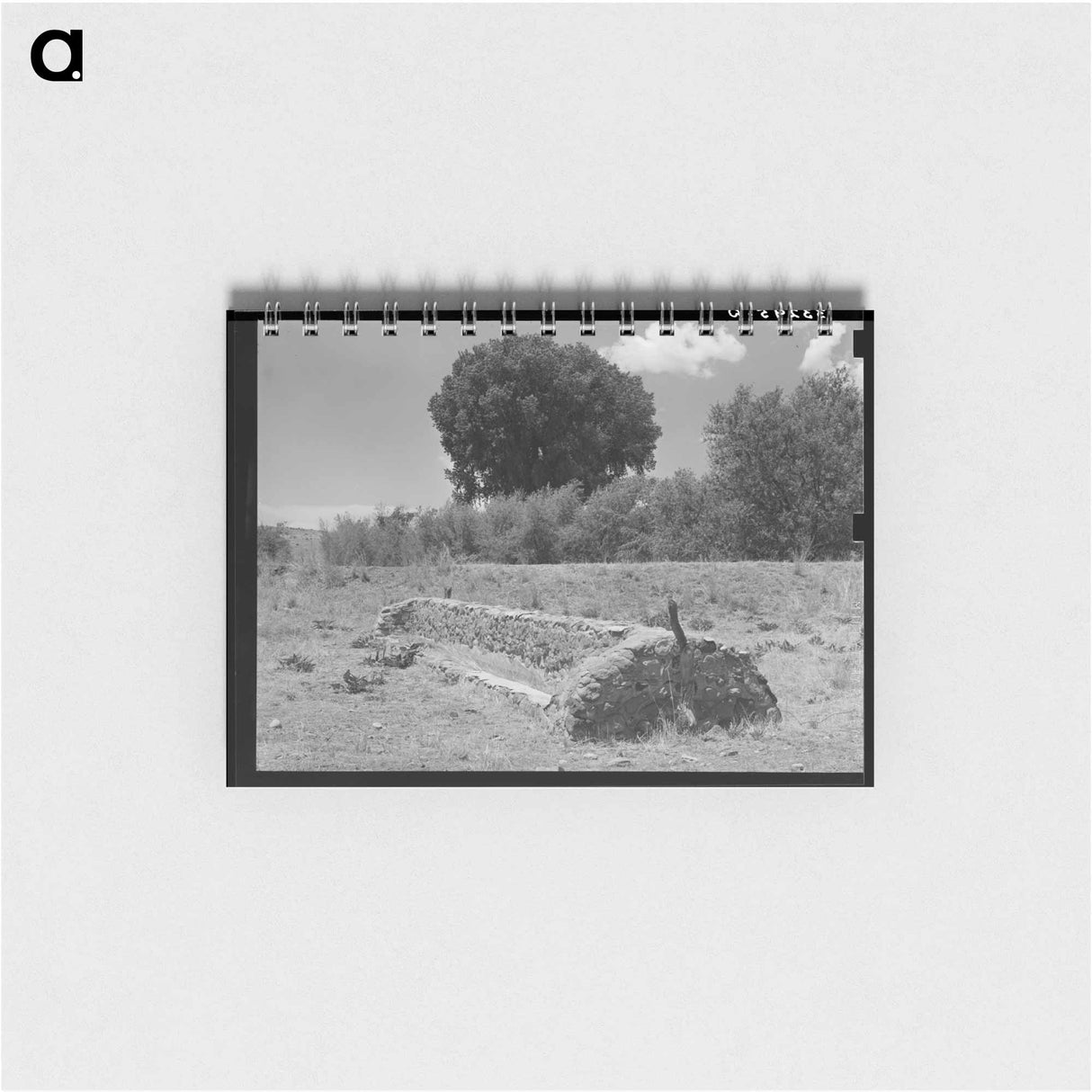 アートメモ帳-Feed Trough, Ranch Near Marfa, Texas
- ラッセル リー Memo.