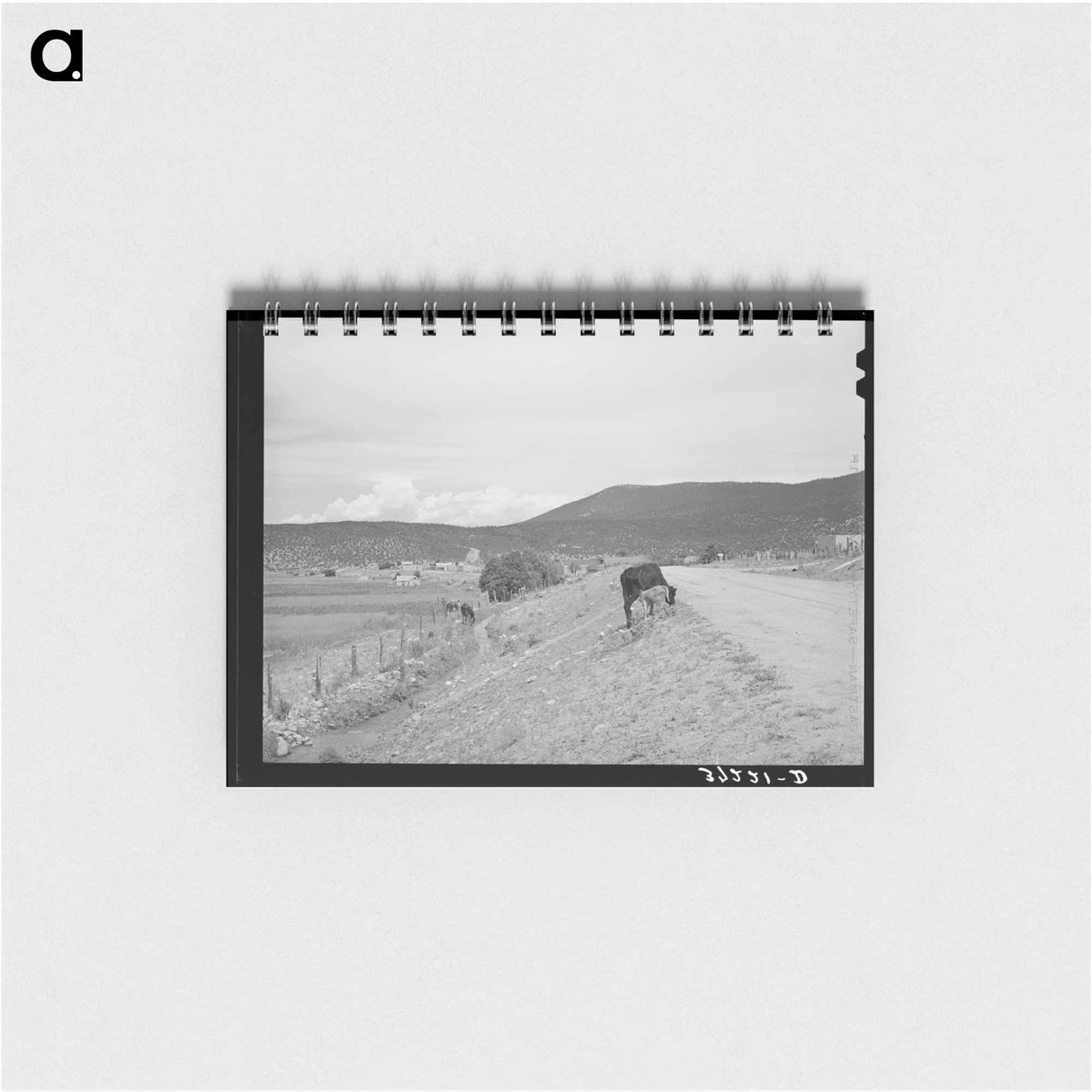 アートメモ帳-Cows and Irrigation Ditch, Penasco, New Mexico
- ラッセル リー Memo.