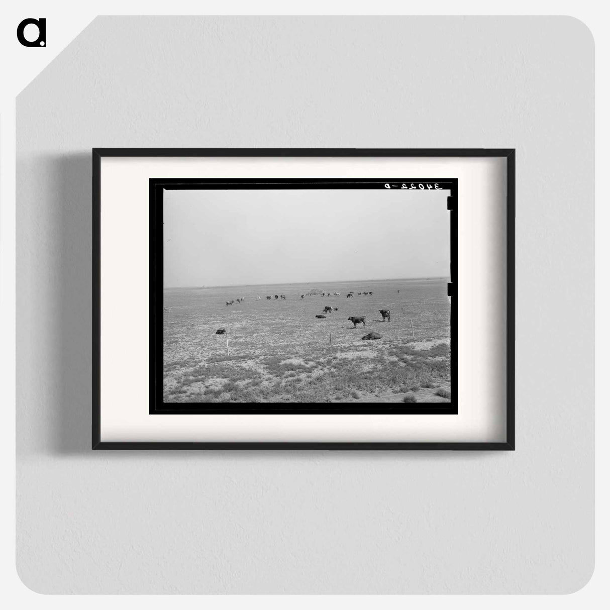 アートポスター-Cattle Grazing near Oakley, Kansas
- ラッセル リー Poster.