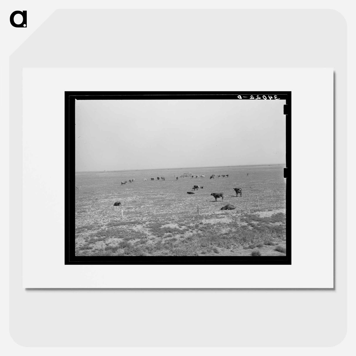 アートポスター-Cattle Grazing near Oakley, Kansas
- ラッセル リー Poster.