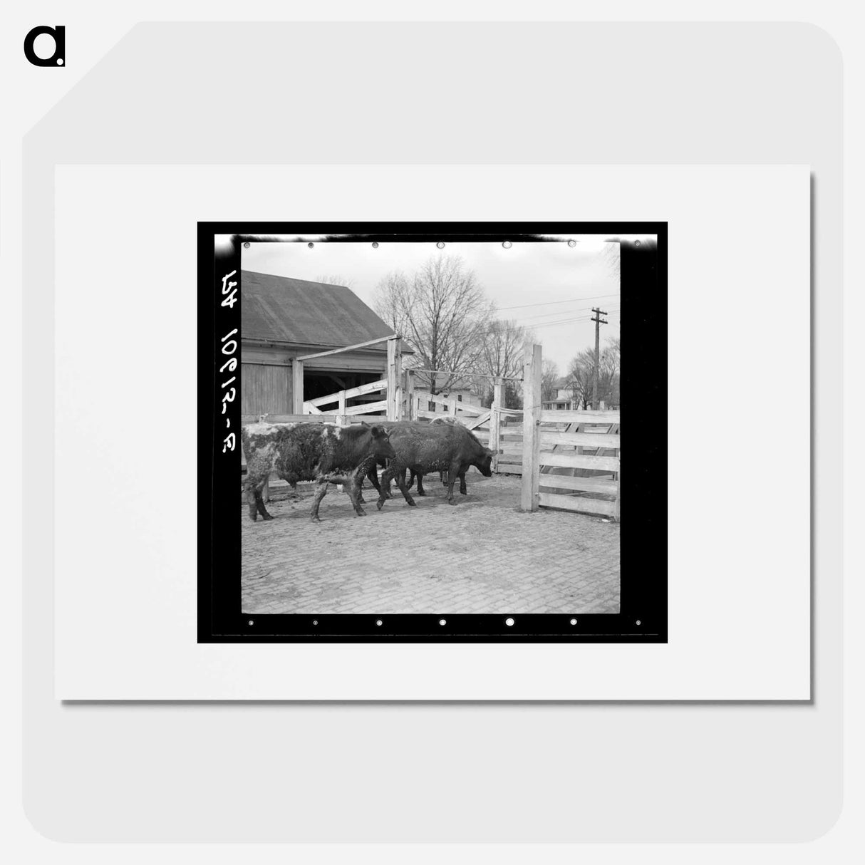 アートポスター-Cattle at Aledo Stockyards
- ラッセル リー Poster.