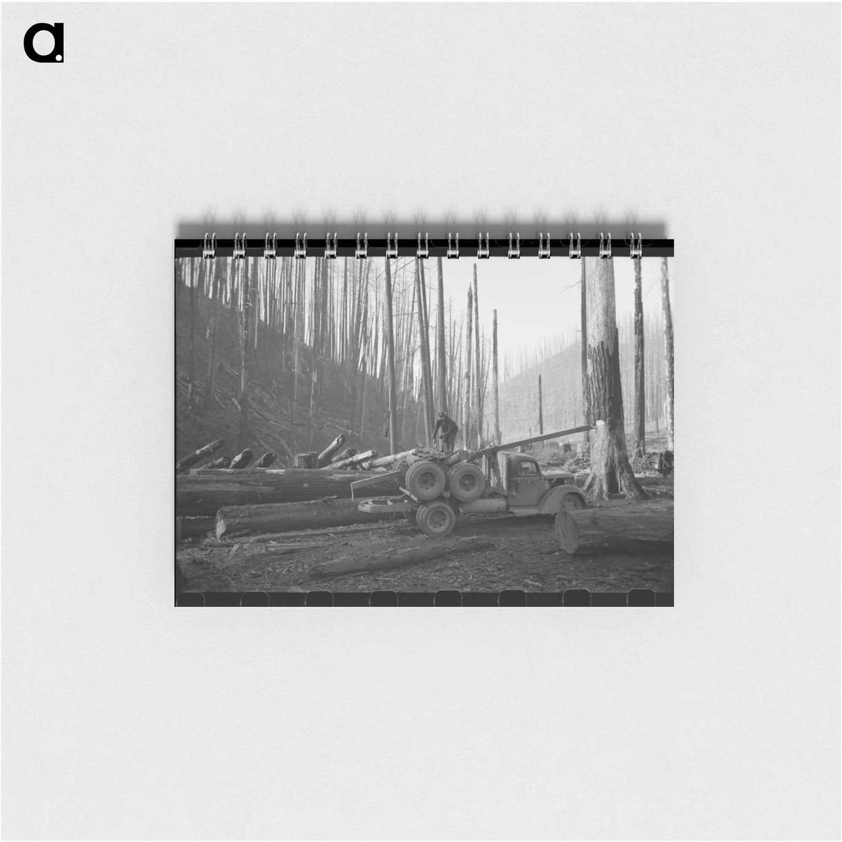 アートメモ帳-Logging Truck and Trailer, Tillamook County, Oregon
- ラッセル リー Memo.
