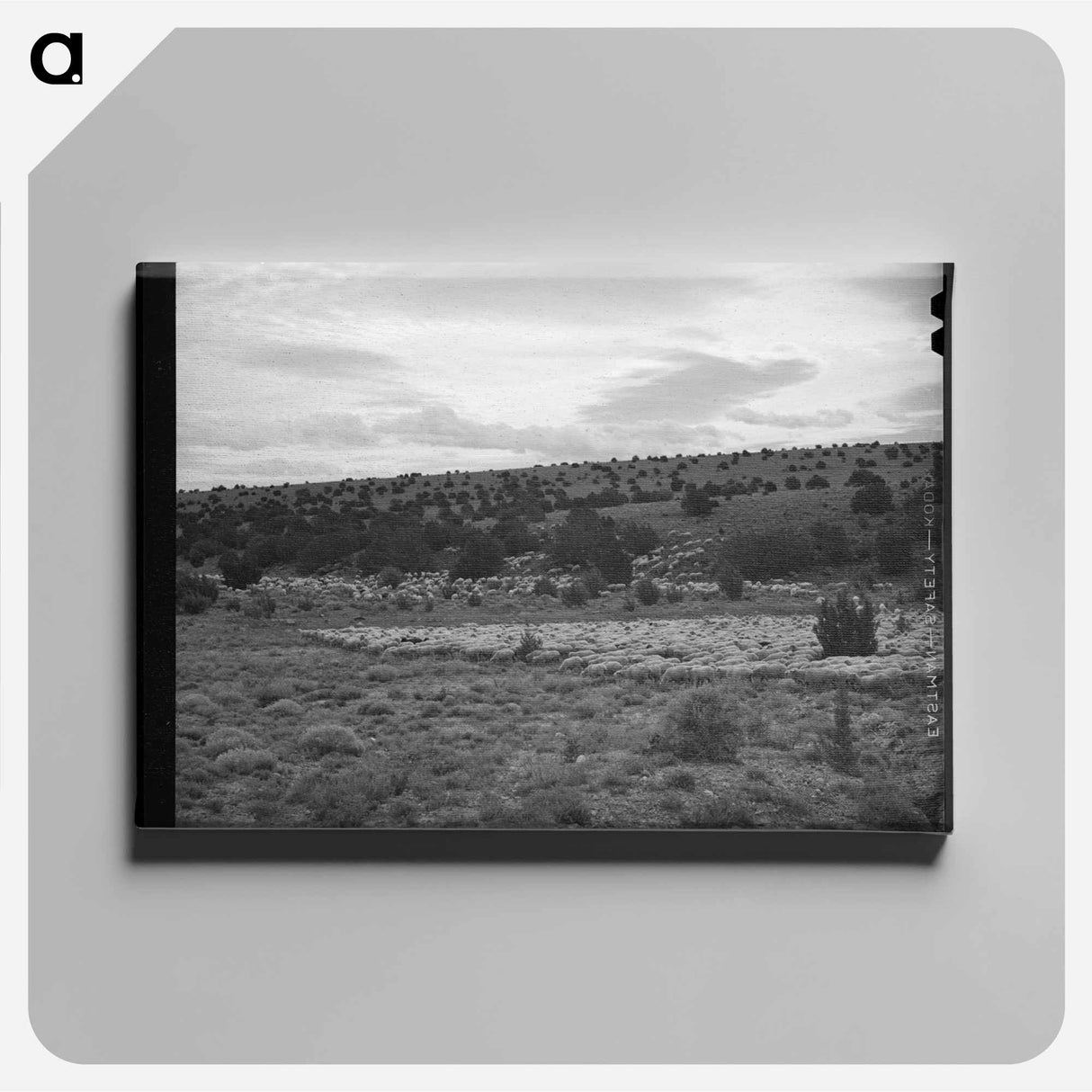 アートパネル-The Candelarias, Sheep Operators at Concho, Arizona
- ラッセル リー Canvas.