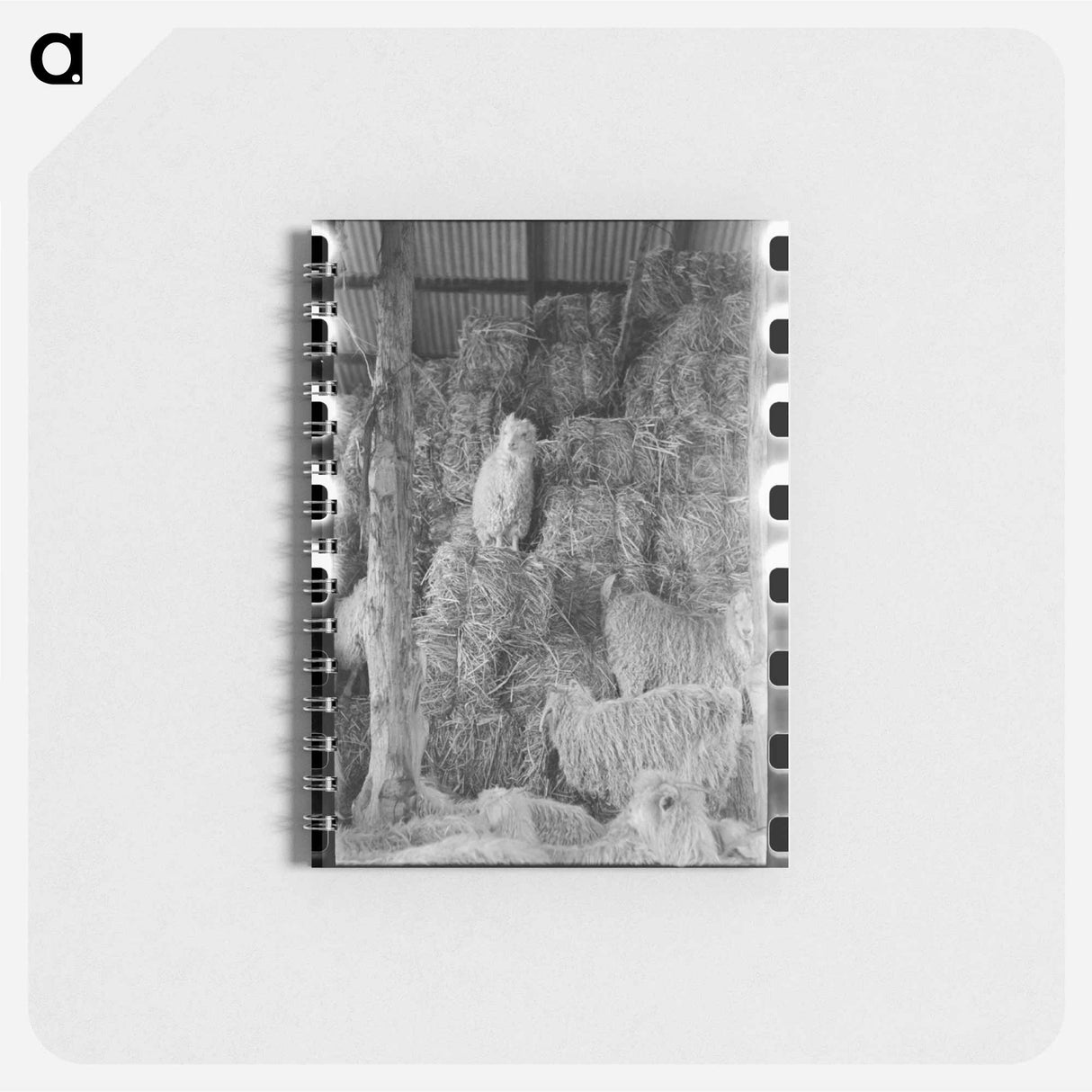 アートメモ帳-Goats in Hay Barn, Kimble County, Texas
- ラッセル リー Memo.