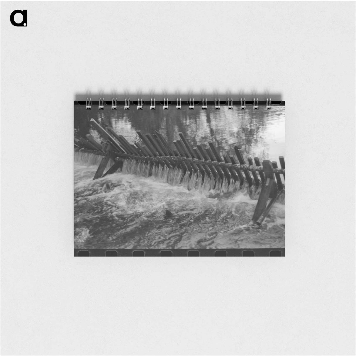 アートメモ帳-Salmon in Trap of Hatchery
- ラッセル リー Memo.