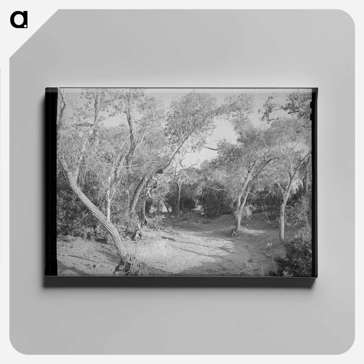 アートパネル-Road Through the Woods, Pie Town, New Mexico
- ラッセル リー Canvas.
