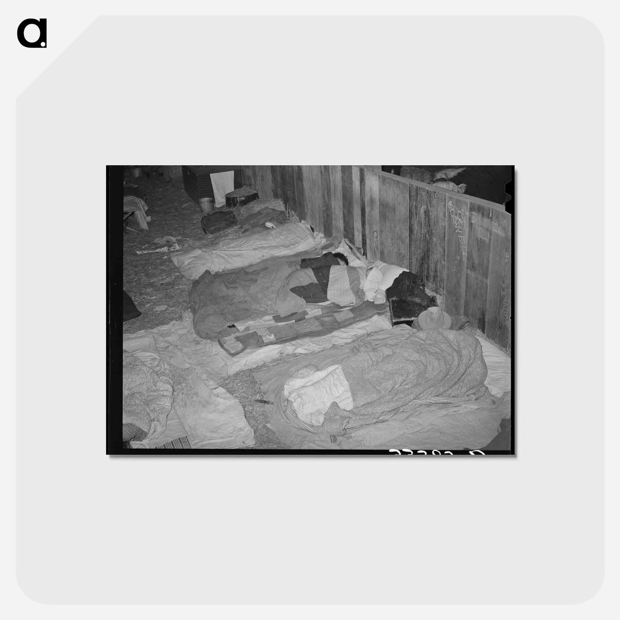 アートポストカード-Cowboys Asleep in Cattle Show Barns, San Angelo Fat Stock Show
- ラッセル リー Postcard.