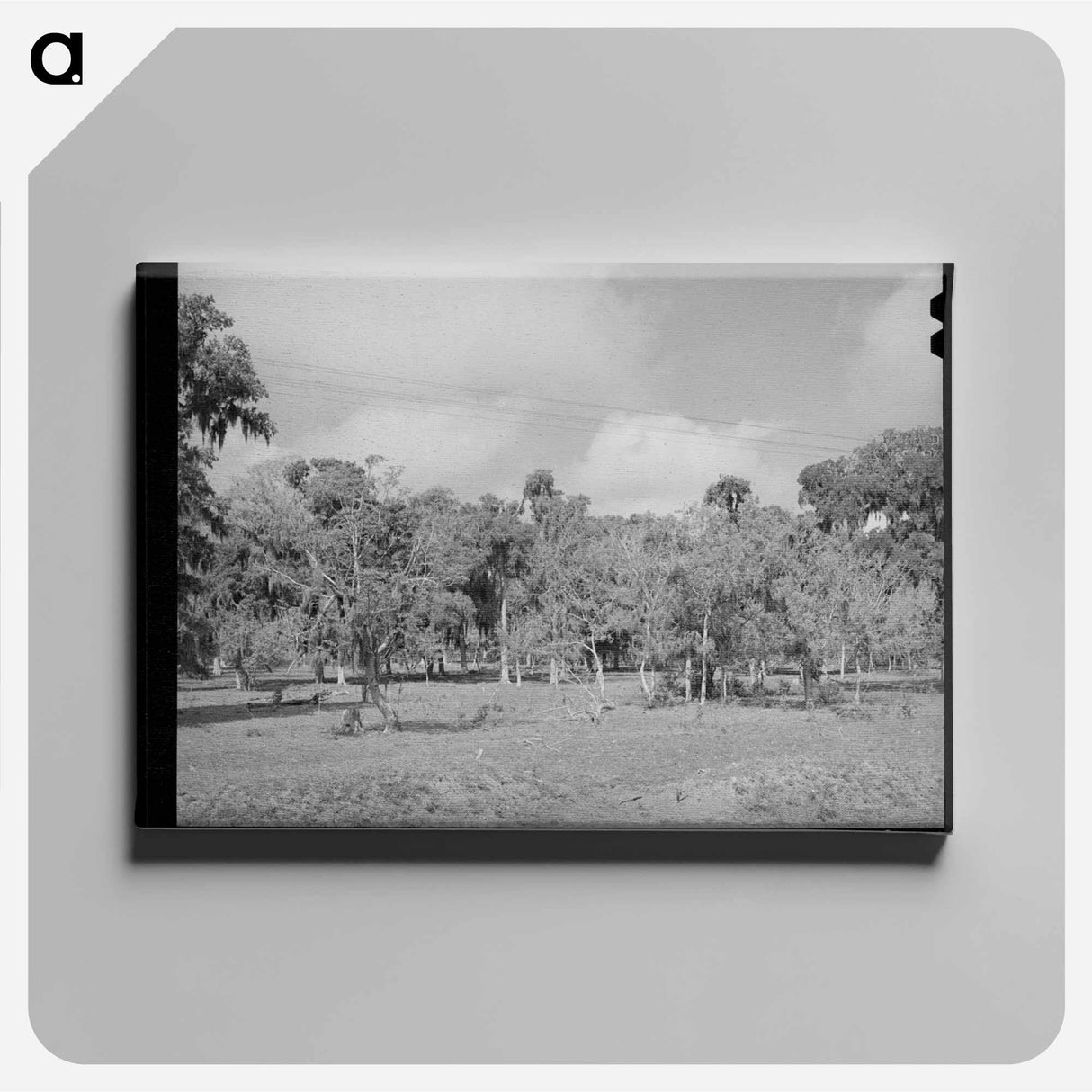 アートパネル-Spanish Moss, Refugio County, Texas
- ラッセル リー Canvas.