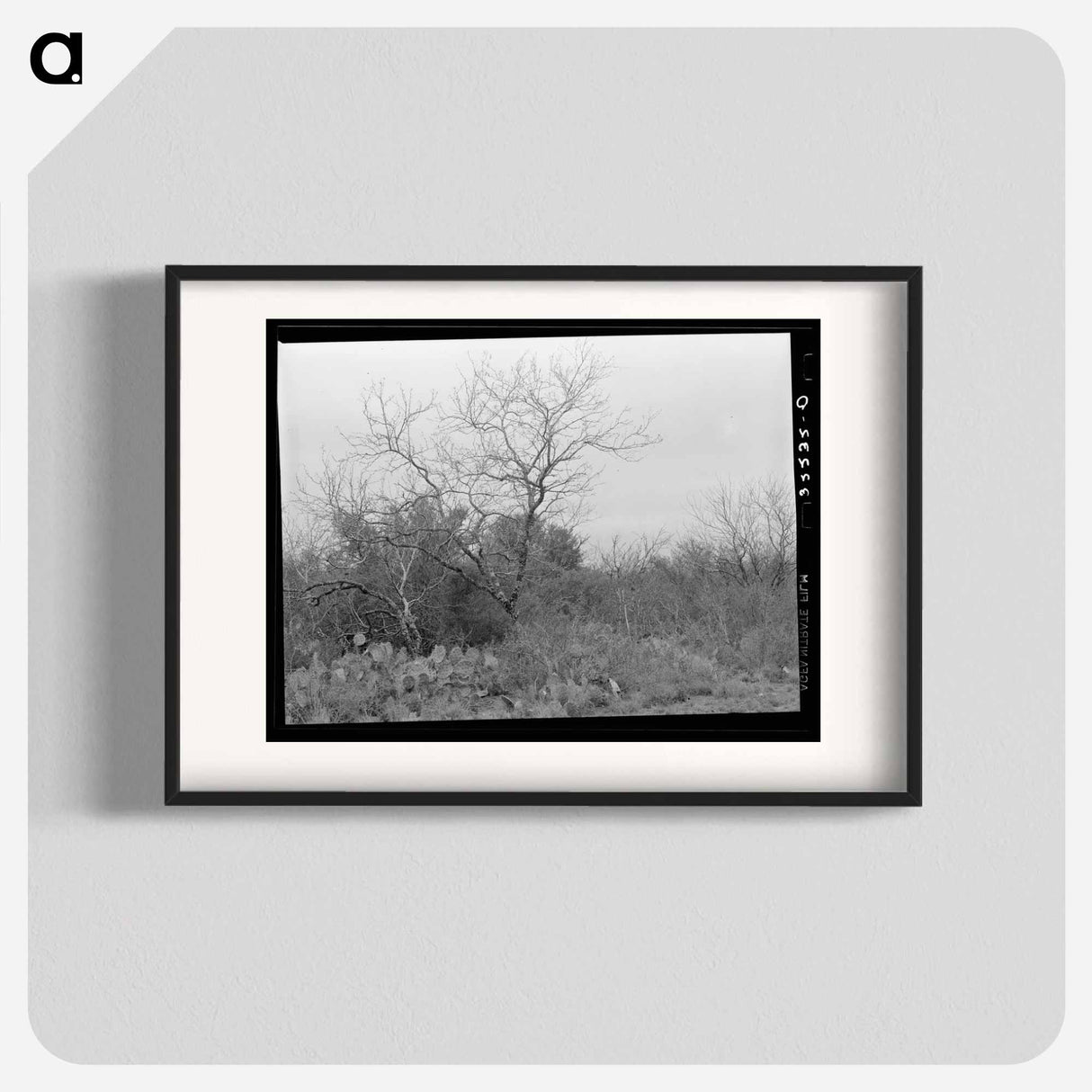 アートポスター-Cactus, Mesquite, and Chaparral near Robstown, Texas
- ラッセル リー Poster.