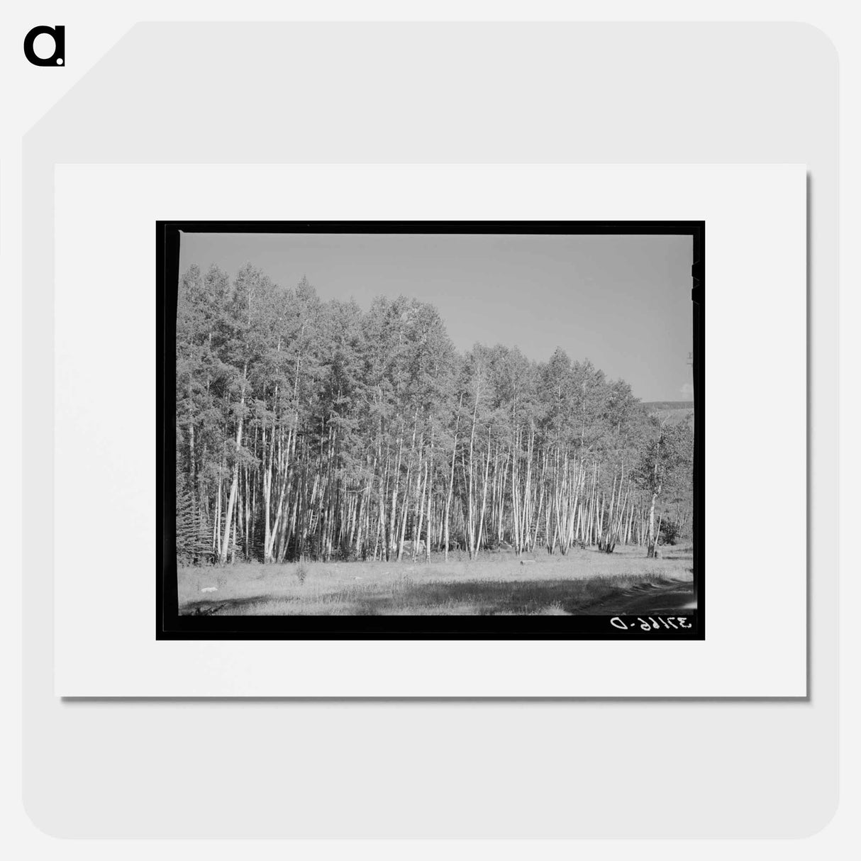 アートポスター-Aspen Grove, Santa Barbara Canyon
- ラッセル リー Poster.