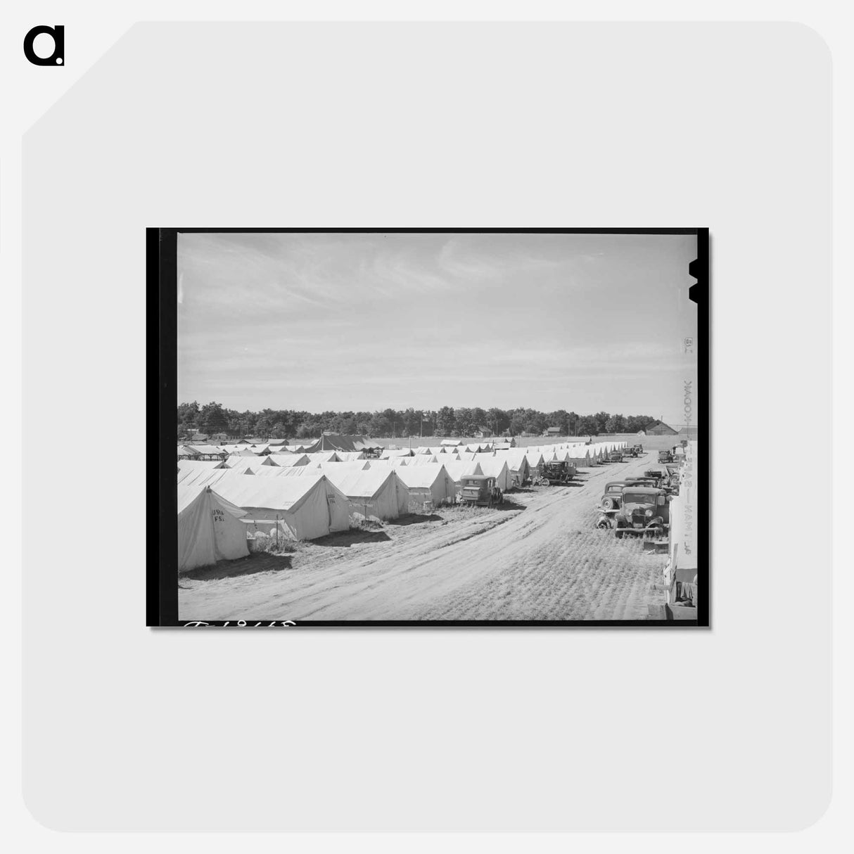 アートポストカード-Migratory Farm Labor Camp, Athena, Oregon
- ラッセル リー Postcard.