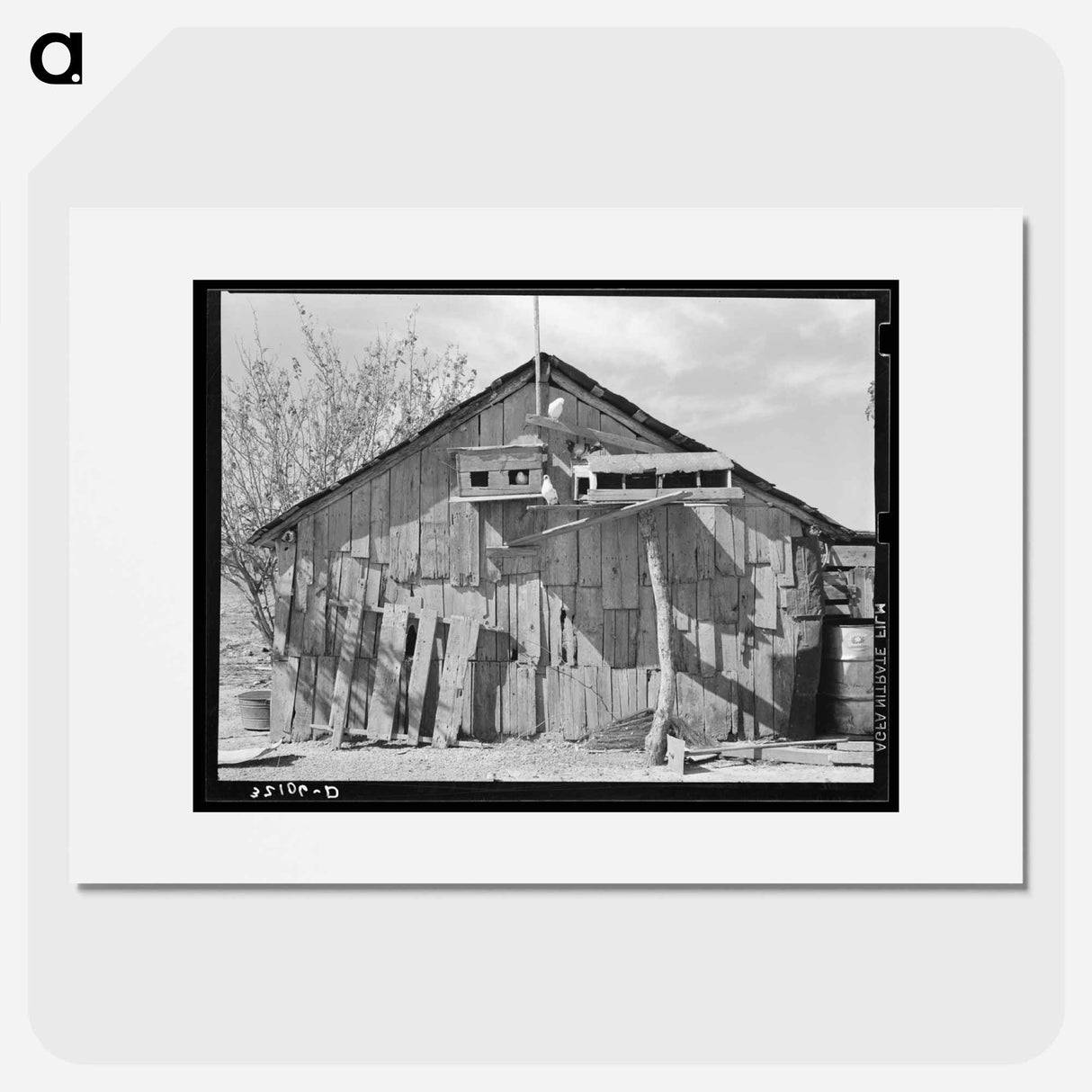 アートポスター-Barn with Pigeon Cote, Near Santa Maria, Texas
- ラッセル リー Poster.