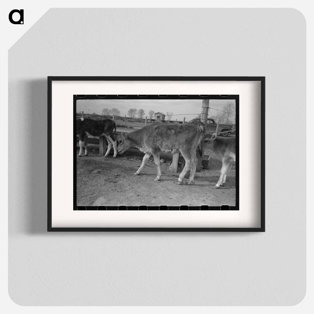 アートポスター-Calf at Casa Grande Farms
- ラッセル リー Poster.