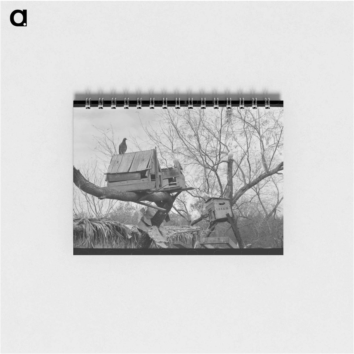 アートメモ帳-Pigeon Cote of Mexican Farmer near Combes, Texas
- ラッセル リー Memo.
