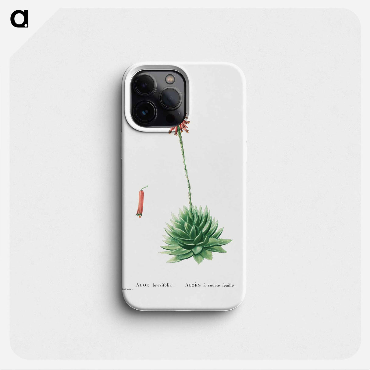 Aloe Brevifolia (Short–Leaved aloe) - ピエール ジョゼフ ルドゥーテ Phone Case.