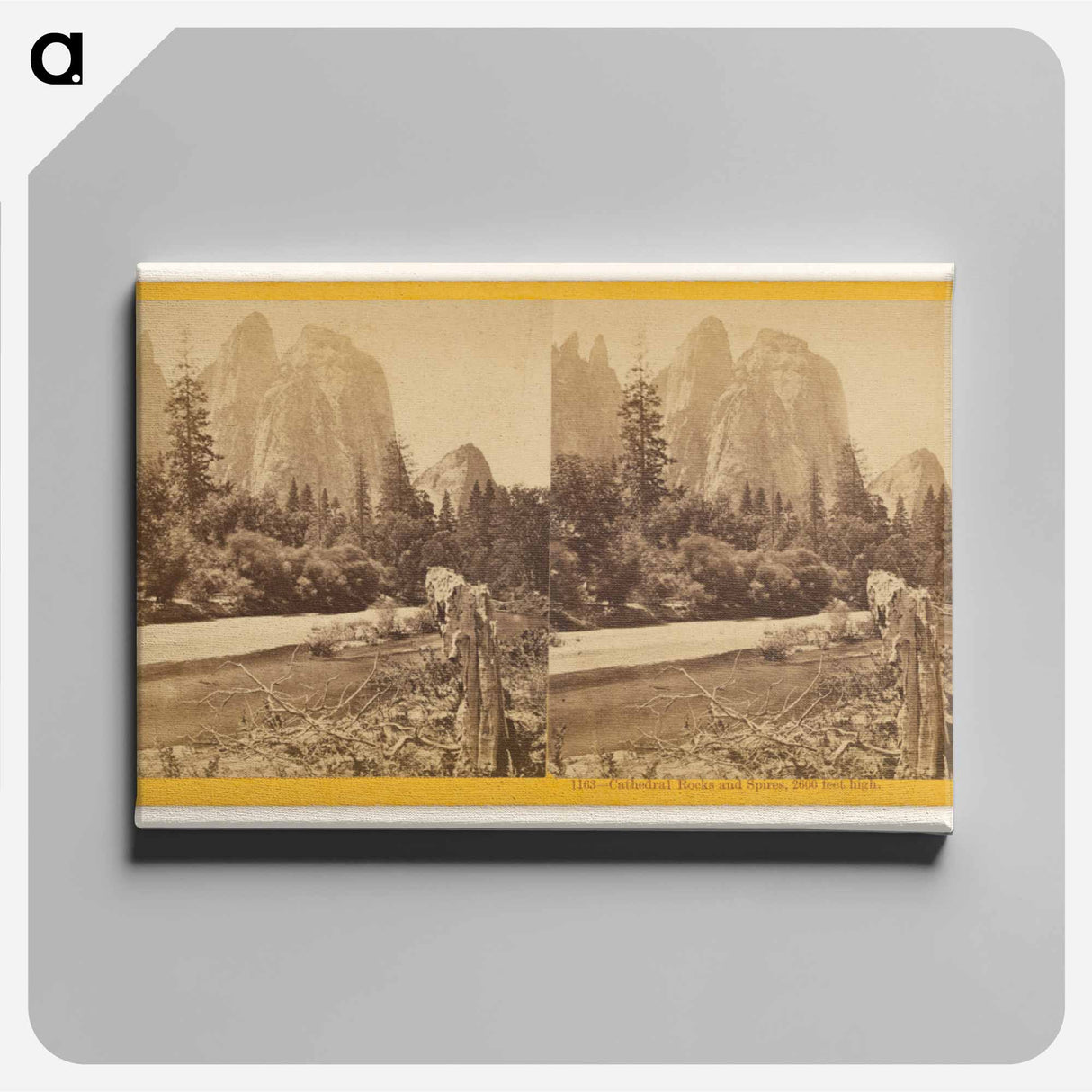 アートパネル-Cathedral Rocks and Spires
- エドワード マイブリッジ Canvas.