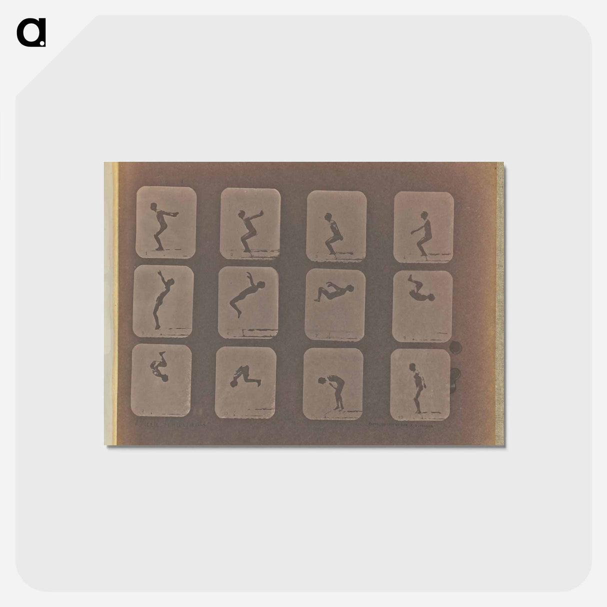 アートポストカード-Back Somersault
- エドワード マイブリッジ Postcard.