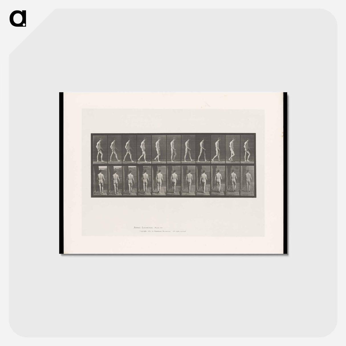 アートポストカード-Walking Figure with Spinal Curvature
- エドワード マイブリッジ Postcard.