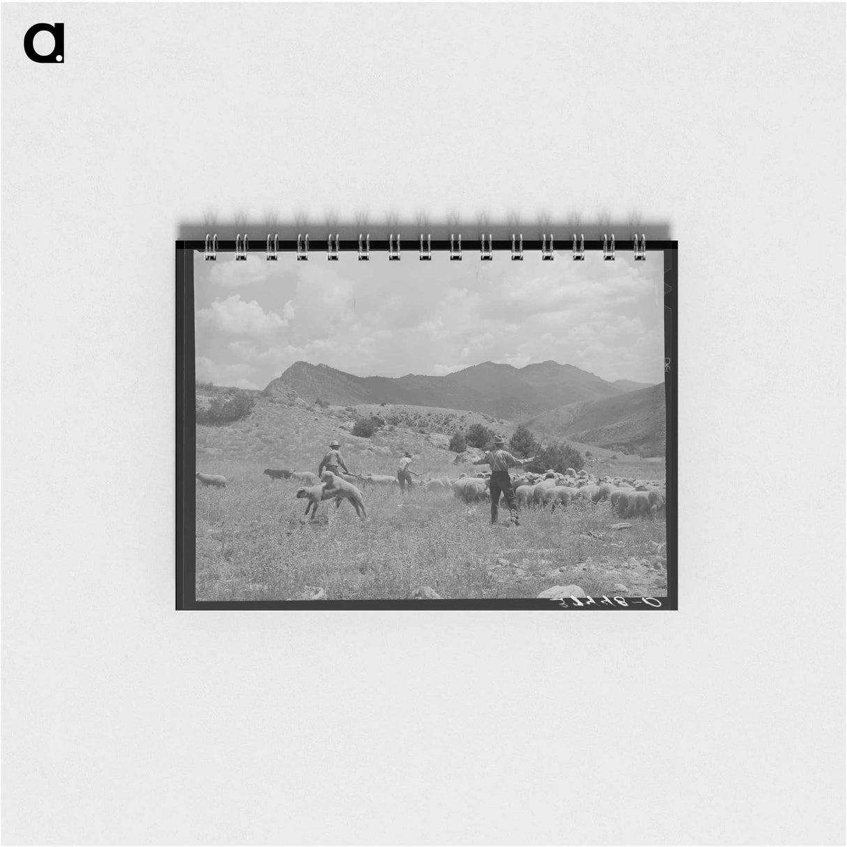 アートメモ帳-Southeast Missouri Farms Project
- ラッセル リー Memo.