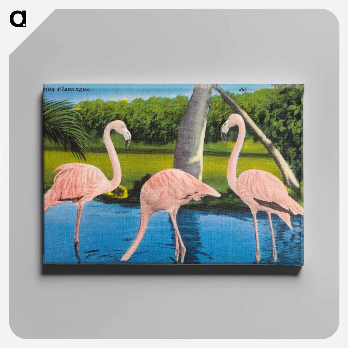 アートパネル-Florida Flamingos
- ボストン公共図書館 Canvas.