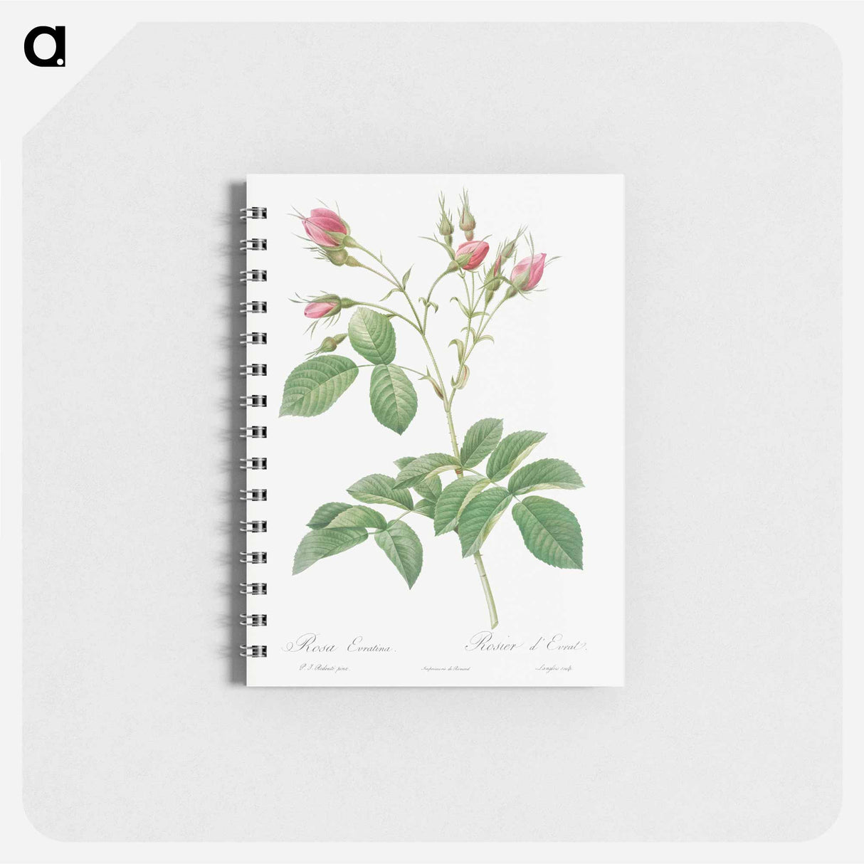 アートメモ帳-Evrat's Rose with Crimson Buds - ピエール ジョゼフ ルドゥーテ Memo.