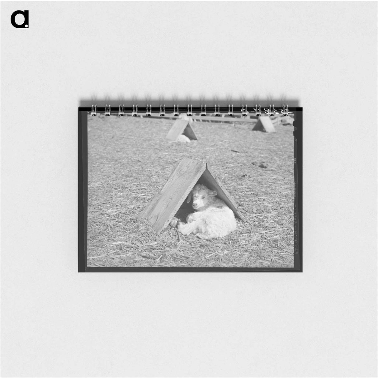 アートメモ帳-Fat Lambs in Shipping Pens
- ラッセル リー Memo.