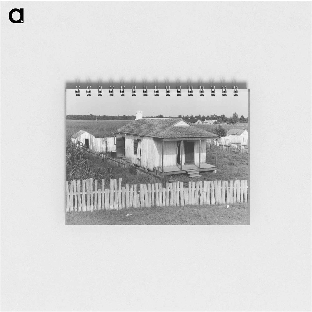 Cabin of sugarcane worker - ドロテア ラング Memo.