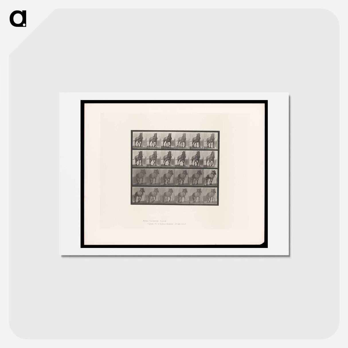 アートポストカード-Horse in Motion
- エドワード マイブリッジ Postcard.