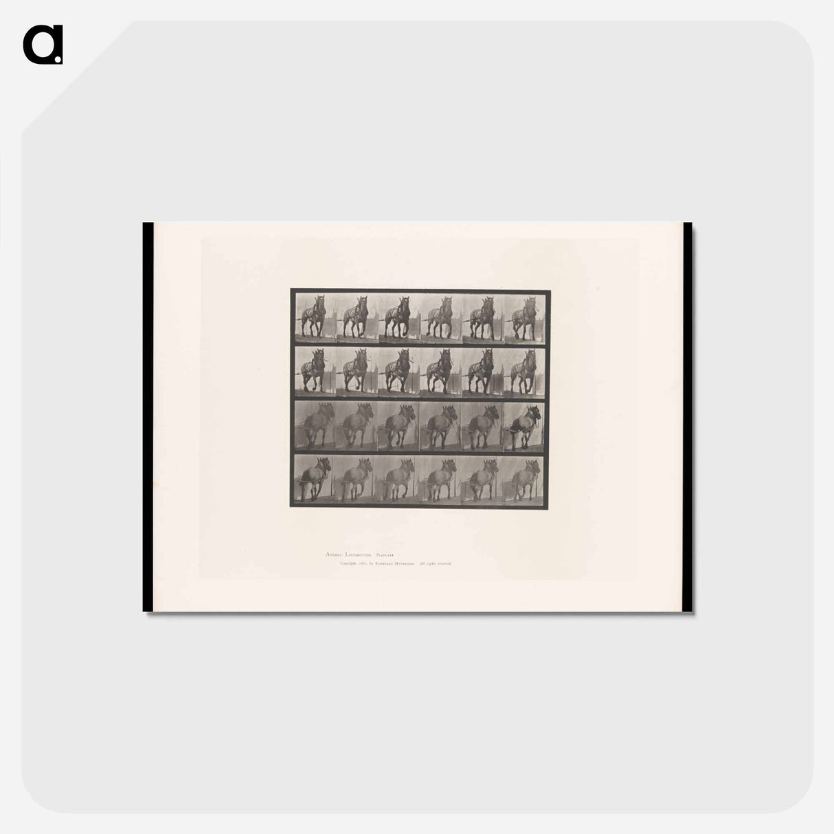 アートポストカード-Horse in Motion
- エドワード マイブリッジ Postcard.